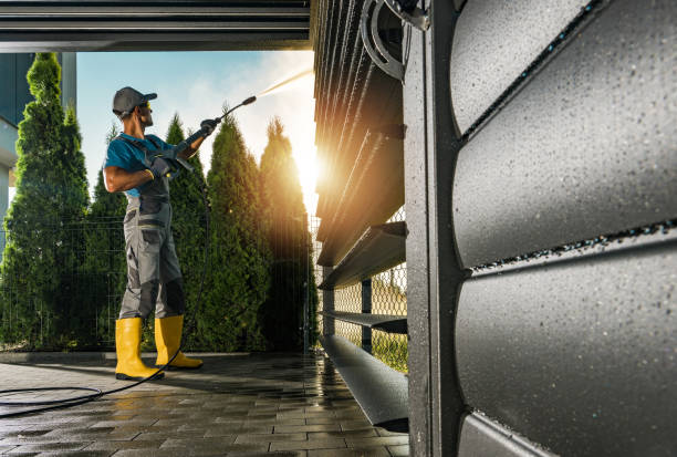 Best Roof Washing  in Ashville, AL