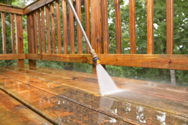 Best Animal Enclosure Cleaning  in Ashville, AL